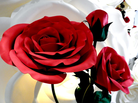 Rosas decoracion
