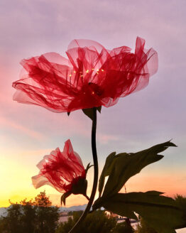 Flores de organza